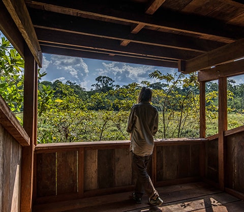 Person observing wildlife in the "baïs."