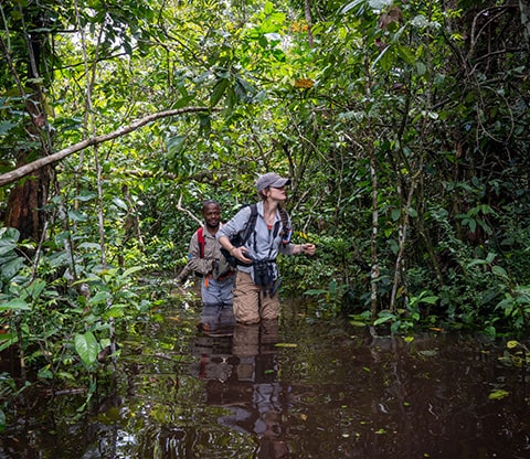 Two people on a guided walk through the water unveiling wildlife tracks and vegetation