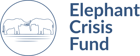 Elephant Crisis Fund Logo